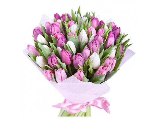 C Международным женским днем!