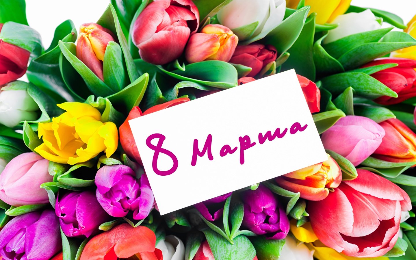 С 8 марта дорогих девушек!