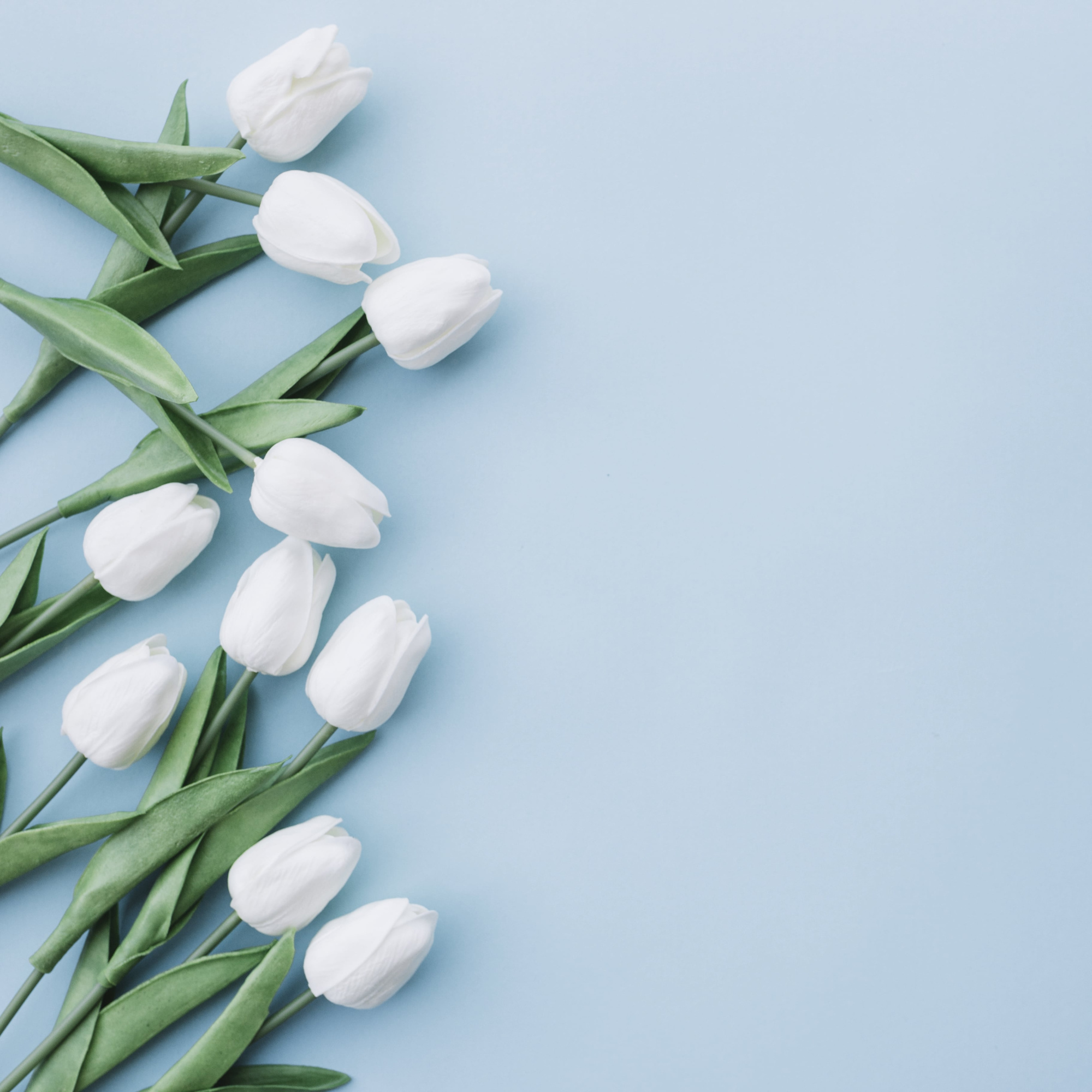 Поздравляем с международным женским днем!