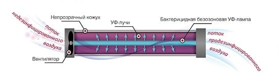 Принцип работы облучателя-рециркулятора закрытого типа